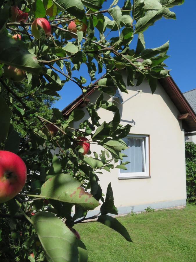 Haus Irmi Bed and Breakfast Knittelfeld Buitenkant foto